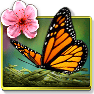 Season Zen HD 2.0.0.2432 FULL APK icon