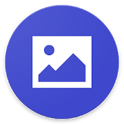 Image Downloader Pro 1.0 APK