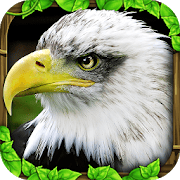 Eagle Simulator 1.2 MOD APK