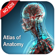 Gray’s Atlas of Anatomy Pro No Ads 1.1 icon