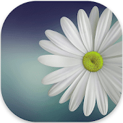 Gallery Lite No Ads 1.2.1 icon
