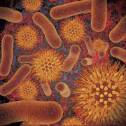 Infectious Disease Compendium 39.02.01 icon