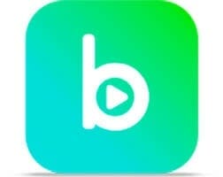 Btv Online APK