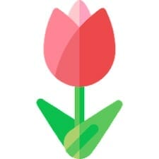 Tulip Streams APK