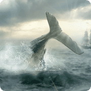 Moby Dick 1.0.0 Mod Money