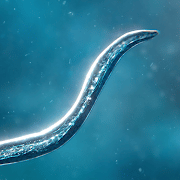 Bionix Spore Bacteria Evolution Simulator 3D 50.70 Mod Free Shopping