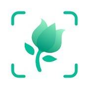 PictureThis Identify Plant Flower Weed And More Premium 3.0.3
