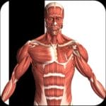 Visual Anatomy 2 0b42 APK Patched