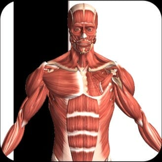 Visual Anatomy 2 0b42 APK Patched icon