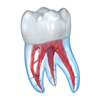 Dental 3D Illustrations 2.0.86 APK Subscribed Altered Purged icon